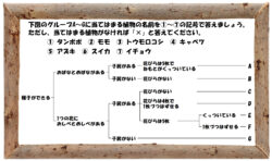 中学受験の理科 植物分類についての問題演習と解説 1 中学受験 理科 偏差値アップの勉強法