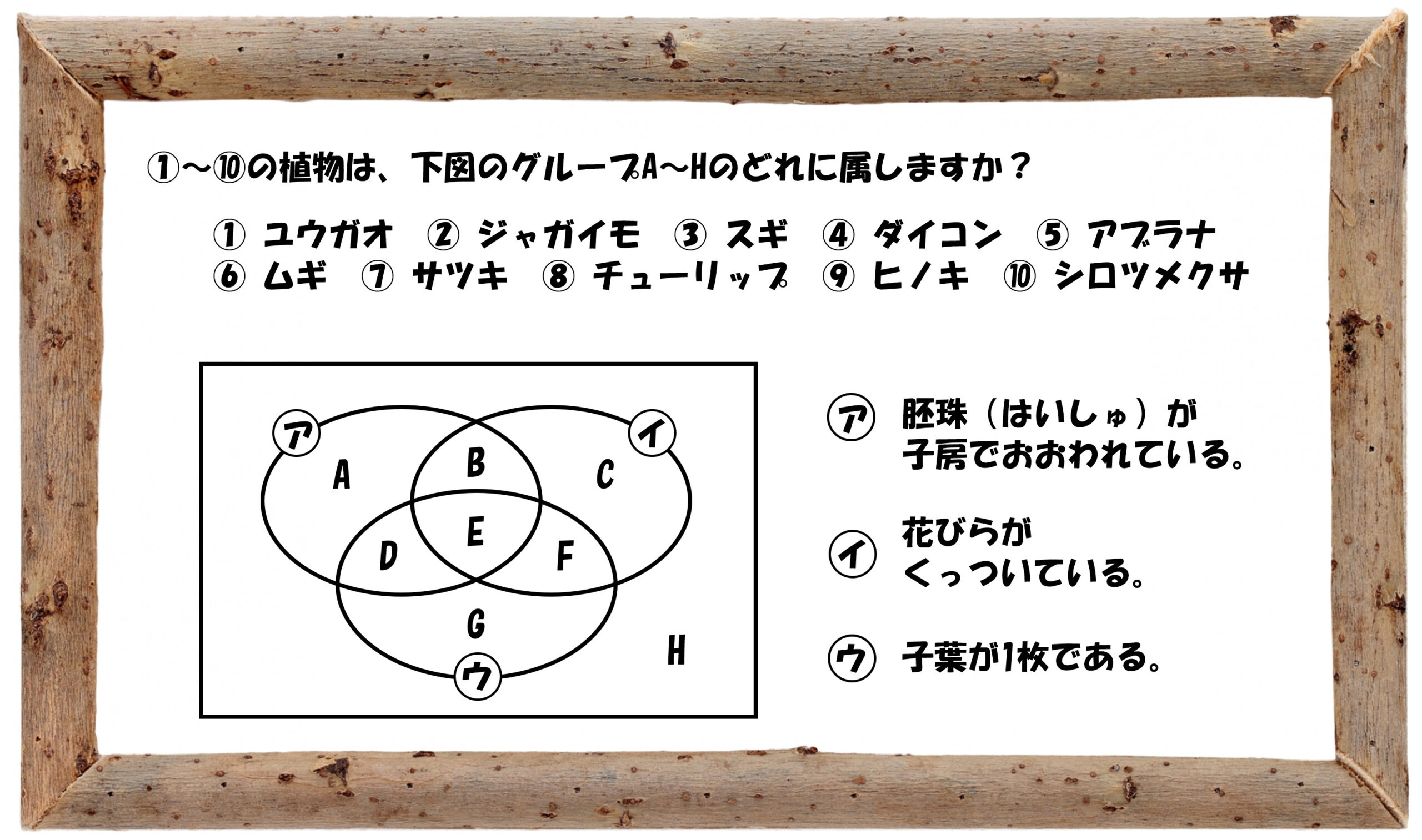 中学受験の理科 植物分類についての問題演習と解説 3 中学受験 理科 偏差値アップの勉強法