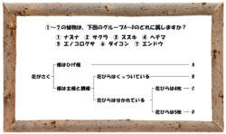 中学受験の理科 植物分類についての問題演習と解説 2 中学受験 理科 偏差値アップの勉強法