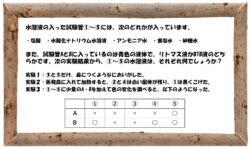中学受験の理科 水溶液の性質についての問題演習と解説 3 中学受験 理科 偏差値アップの勉強法 中学受験の理科 水溶液の性質についての問題演習と解説 3 中学受験 理科 偏差値アップの勉強法