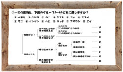 中学受験の理科 セキツイ動物の分類についての問題演習と解説 1 中学受験 理科 偏差値アップの勉強法