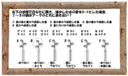 中学受験の理科 植物分類についての問題演習と解説 2 中学受験 理科 偏差値アップの勉強法