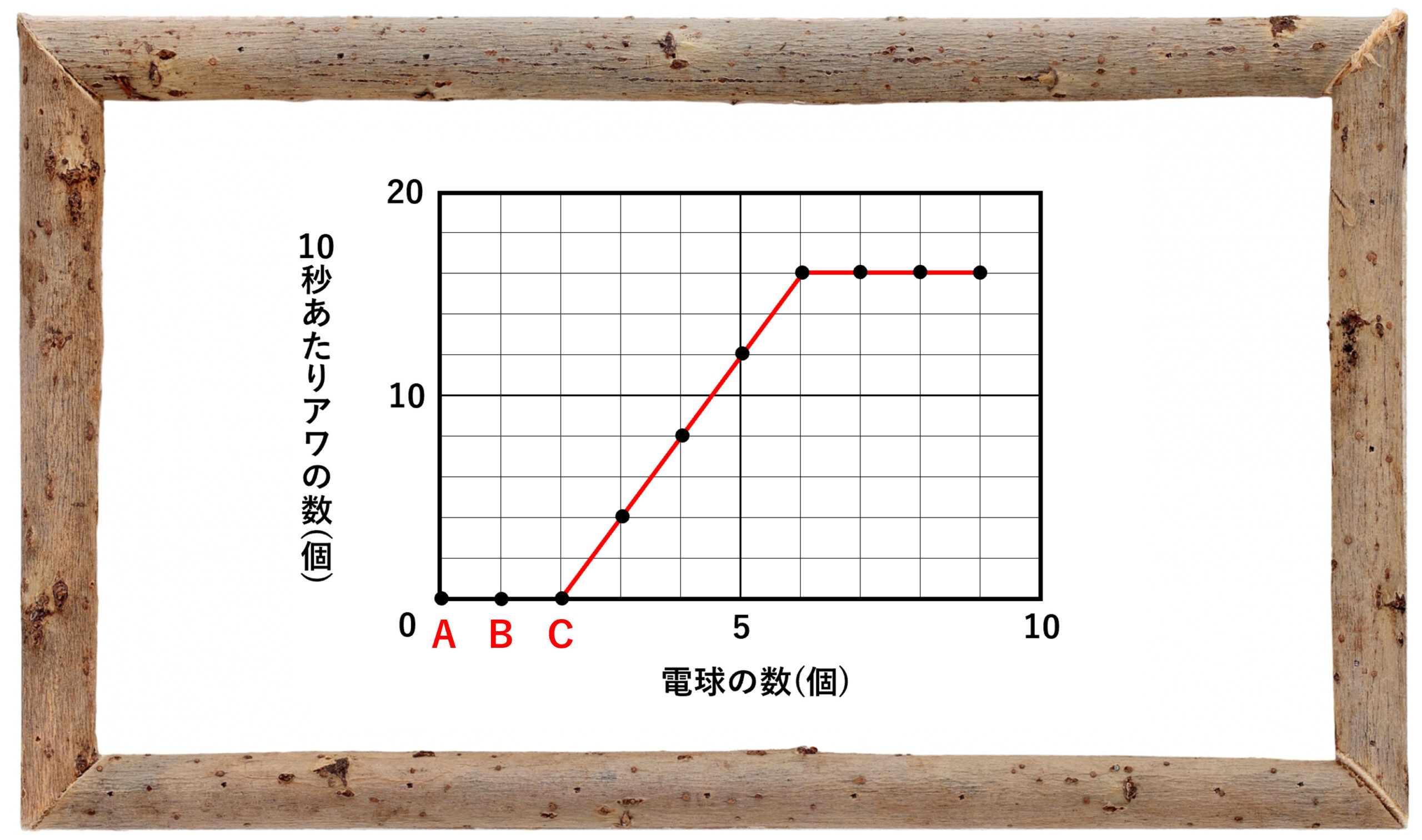 中学受験の理科 植物の光合成と呼吸についての問題演習と解説 1 中学受験 理科 偏差値アップの勉強法